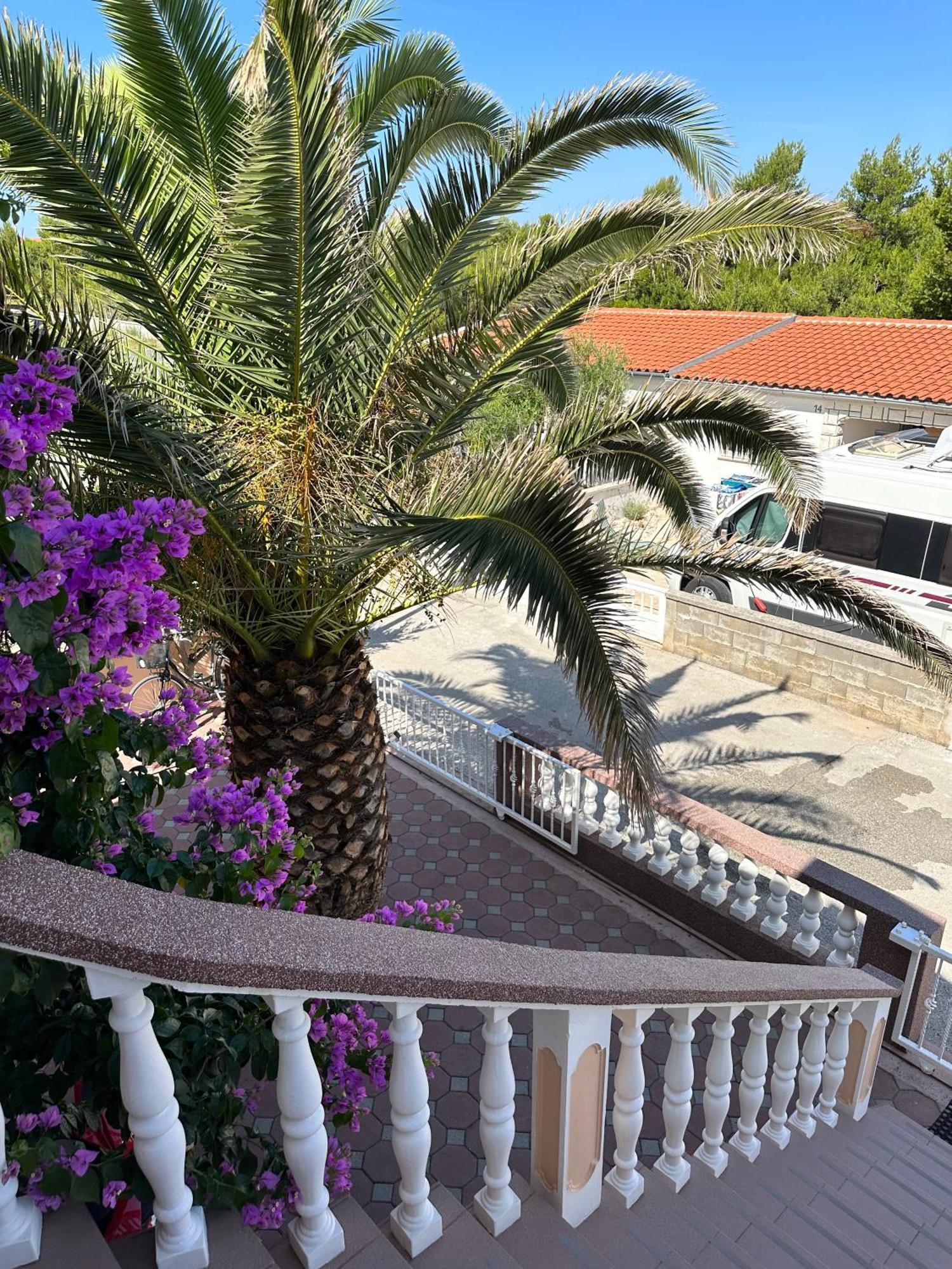 Apartmani Bermanec Vir Buitenkant foto