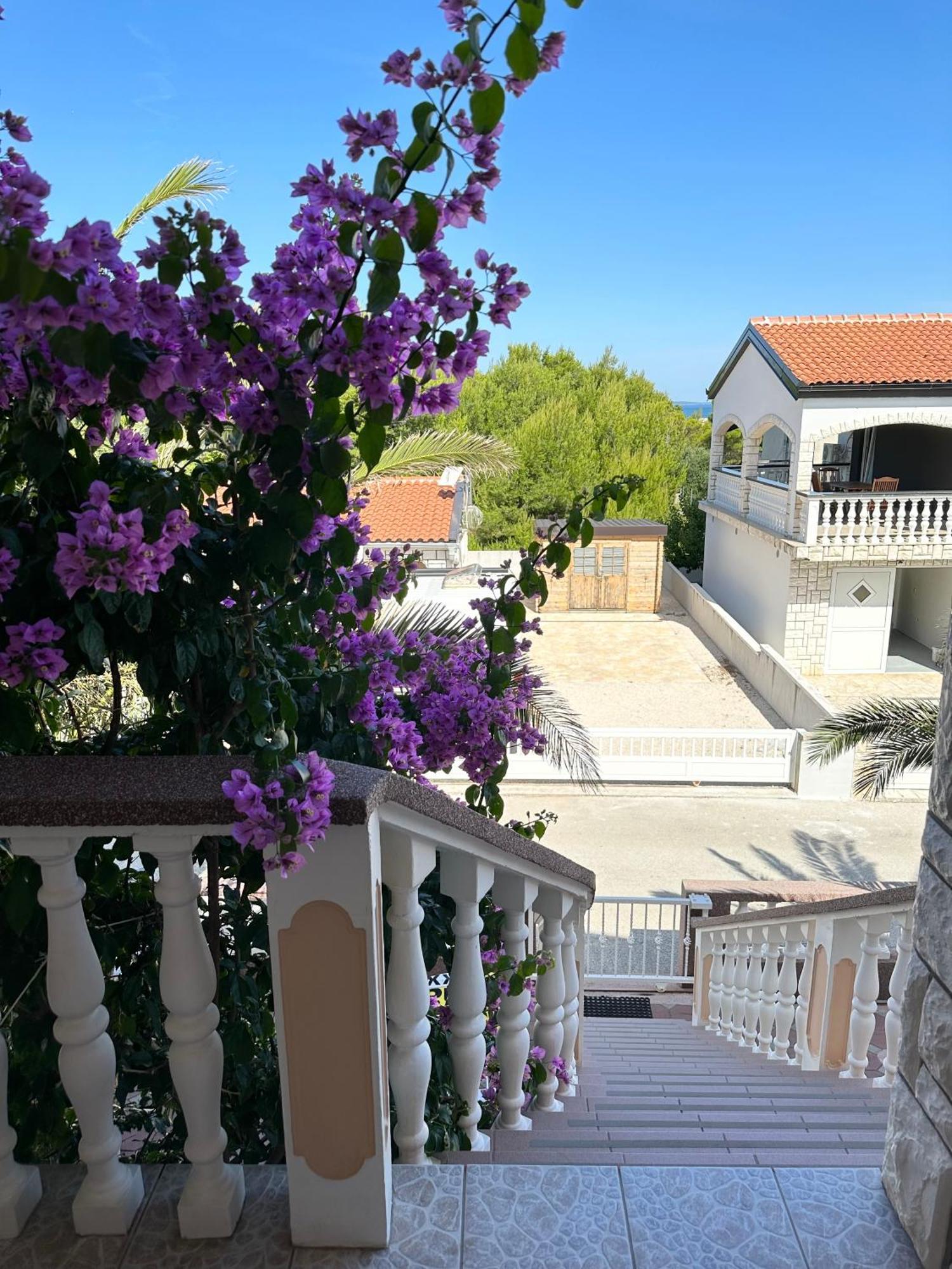 Apartmani Bermanec Vir Buitenkant foto